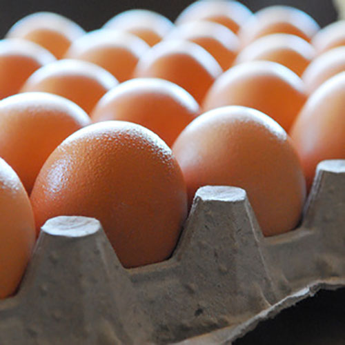 Fresh-Farm-Eggs-1.jpg