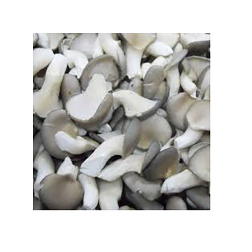 Mushroom.jpg