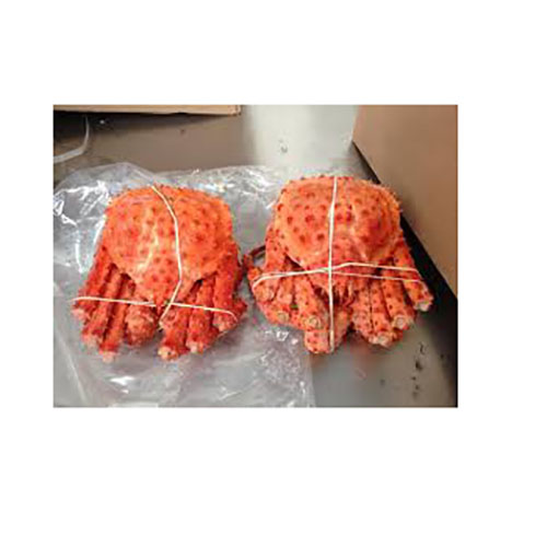 Red-King-Crab.jpg